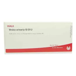 VESICA URINARIA GL D 12 ampolas, 10X1 ml