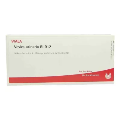 VESICA URINARIA GL D 12 ampolas, 10X1 ml