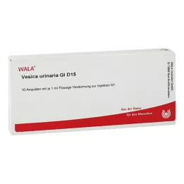 VESICA URINARIA GL D 15 ampolas, 10X1 ml
