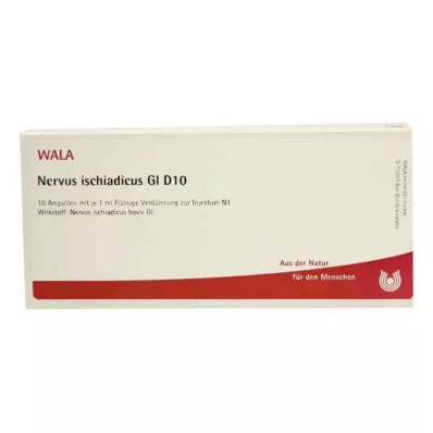 NERVUS ISCHIADICUS GL D 10 ampolas, 10X1 ml NERVUS ISCHIADICUS GL D 10 ampolas, 10X1 ml
