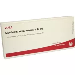 MEMBRANA sinus maxillaris GL D 8 ampolas, 10X1 ml