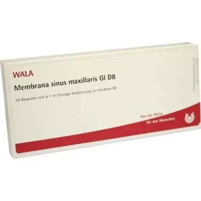 MEMBRANA sinus maxillaris GL D 8 ampolas, 10X1 ml