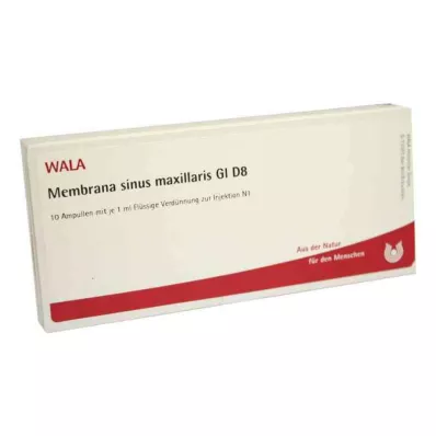 MEMBRANA sinus maxillaris GL D 8 ampolas, 10X1 ml