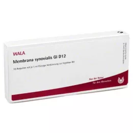 MEMBRANA synovialis GL D 12 ampolas, 10X1 ml