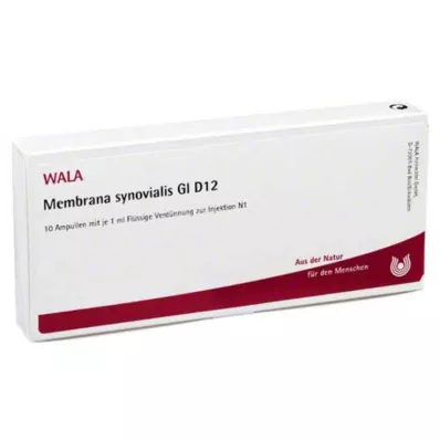 MEMBRANA synovialis GL D 12 ampolas, 10X1 ml