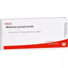 MEMBRANA synovialis GL D 30 ampolas, 10X1 ml