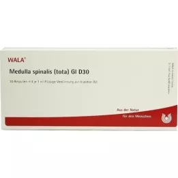 MEDULLA SPINALIS tota GL D 30 ampolas, 10X1 ml