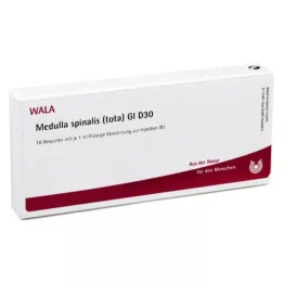 MEDULLA SPINALIS tota GL D 30 ampolas, 10X1 ml