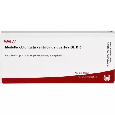 MEDULLA OBLONGATA Ventriculus quartus GL D 5 amp, 10X1 ml
