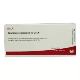 GLANDULAE SUPRARENALES GL D 5 ampolas, 10X1 ml