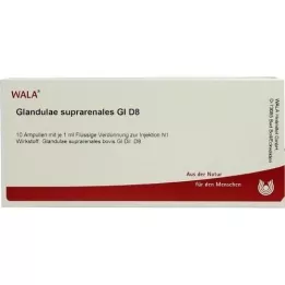 GLANDULAE SUPRARENALES GL D 8 ampolas, 10X1 ml