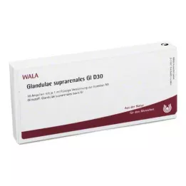 GLANDULAE SUPRARENALES GL D 30 ampolas, 10X1 ml