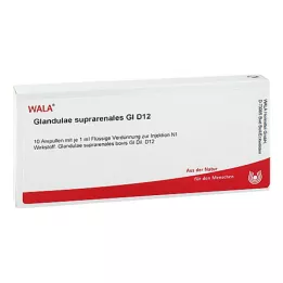 GLANDULAE SUPRARENALES GL D 12 ampolas, 10X1 ml
