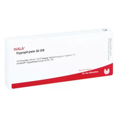 HYPOPHYSIS GL D 5 ampolas, 10X1 ml HYPOPHYSIS GL D 5 ampolas, 10X1 ml