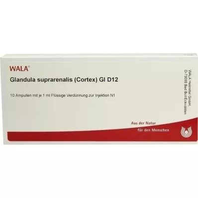 GLANDULA SUPRARENALES córtex GL D 12 ampolas, 10X1 ml