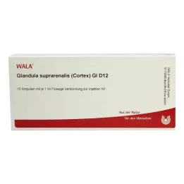 GLANDULA SUPRARENALES córtex GL D 12 ampolas, 10X1 ml
