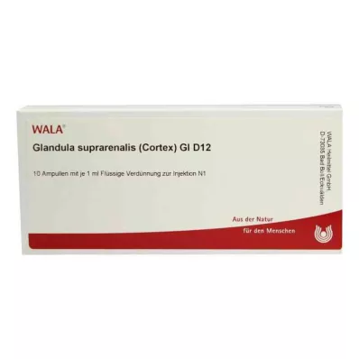 GLANDULA SUPRARENALES córtex GL D 12 ampolas, 10X1 ml GLANDULA SUPRARENALES córtex GL D 12 ampolas, 10X1 ml