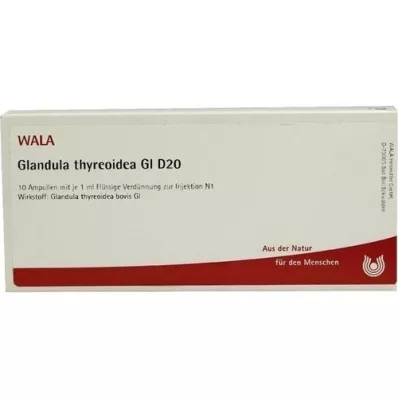 GLANDULA THYREOIDEA GL D 20 ampolas, 10X1 ml