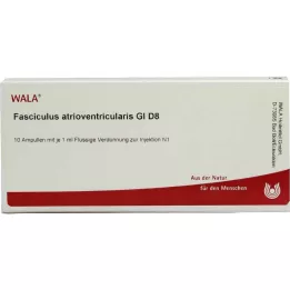 FASCICULUS atrioventricularis GL D 8 ampolas, 10X1 ml