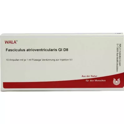 FASCICULUS atrioventricularis GL D 8 ampolas, 10X1 ml