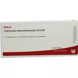 FASCICULUS atrioventricularis GL D 15 ampolas, 10X1 ml