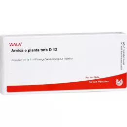 ARNICA E Planta tota D 12 ampolas, 10X1 ml