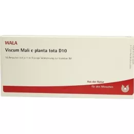 VISCUM MALI e planta tota D 10 ampolas, 10X1 ml