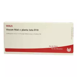 VISCUM MALI e planta tota D 10 ampolas, 10X1 ml