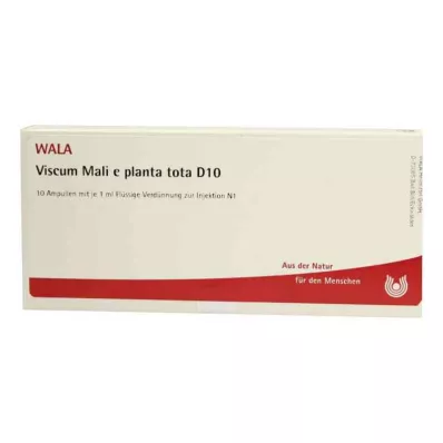 VISCUM MALI e planta tota D 10 ampolas, 10X1 ml VISCUM MALI e planta tota D 10 ampolas, 10X1 ml