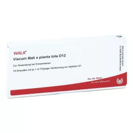 VISCUM MALI e planta tota D 12 ampolas, 10X1 ml