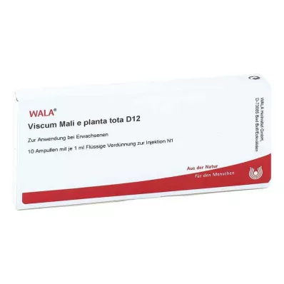 VISCUM MALI e planta tota D 12 ampolas, 10X1 ml VISCUM MALI e planta tota D 12 ampolas, 10X1 ml