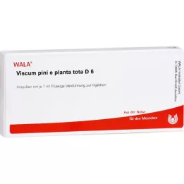 VISCUM PINI e planta tota D 6 ampolas, 10X1 ml