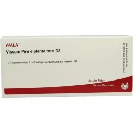 VISCUM PINI e planta tota D 8 ampolas, 10X1 ml