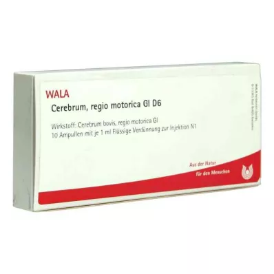 CEREBRUM REGIO motorica GL D 6 ampolas, 10X1 ml CEREBRUM REGIO motorica GL D 6 ampolas, 10X1 ml