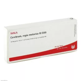 CEREBRUM REGIO motorica GL D 30 ampolas, 10X1 ml