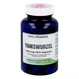 YAMSWURZEL 500 mg GPH Cápsulas, 120 Cápsulas
