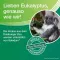 SOLEDUM Bálsamo líquido, 20 ml