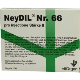 NEYDIL N.º 66 pro injectione St.2 ampolas, 5X2 ml