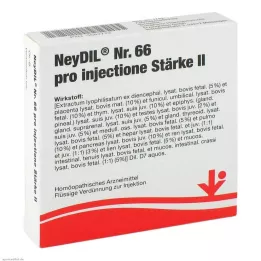 NEYDIL N.º 66 pro injectione St.2 ampolas, 5X2 ml