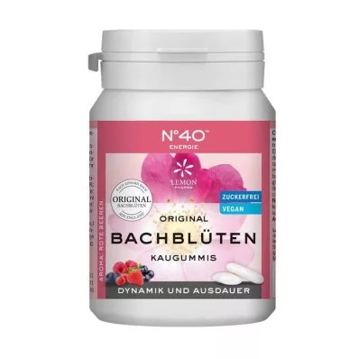 ENERGIE KAUGUMMI Segundo o Dr. Bach, 40 unidades ENERGIE KAUGUMMI Segundo o Dr. Bach, 40 unidades