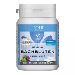 SELBSTVERTRAUEN Goma de mascar segundo o Dr. Bach, 40 unidades