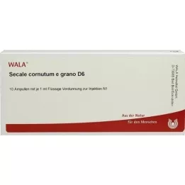 SECALE CORNUTUM E grano D 6 ampolas, 10X1 ml