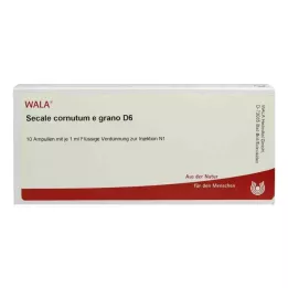 SECALE CORNUTUM E grano D 6 ampolas, 10X1 ml
