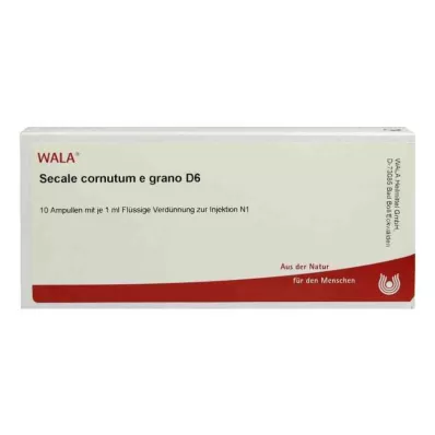 SECALE CORNUTUM E grano D 6 ampolas, 10X1 ml