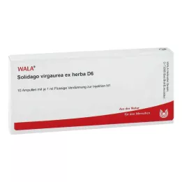 SOLIDAGO VIRGAUREA ex herba D 6 ampolas, 10X1 ml
