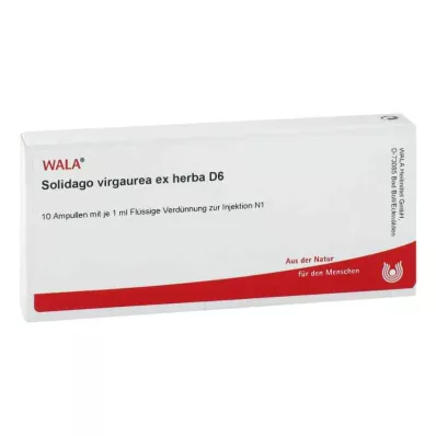 SOLIDAGO VIRGAUREA ex herba D 6 ampolas, 10X1 ml SOLIDAGO VIRGAUREA ex herba D 6 ampolas, 10X1 ml