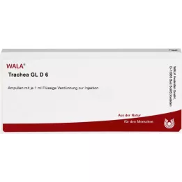 TRACHEA GL D 6 ampolas, 10X1 ml