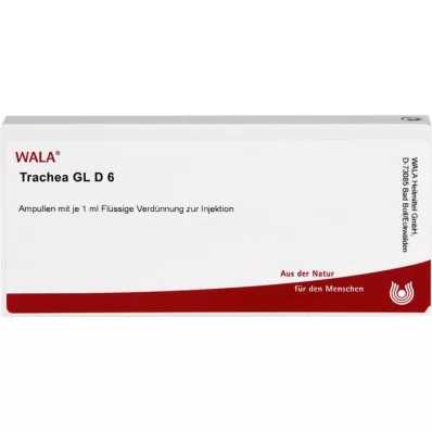 TRACHEA GL D 6 ampolas, 10X1 ml