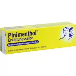 PINIMENTHOL Pomada para a constipação Eucalipto/pinho/menta, 20 g