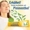 PINIMENTHOL Pomada para a constipação Eucalipto/pinho/menta, 100 g
